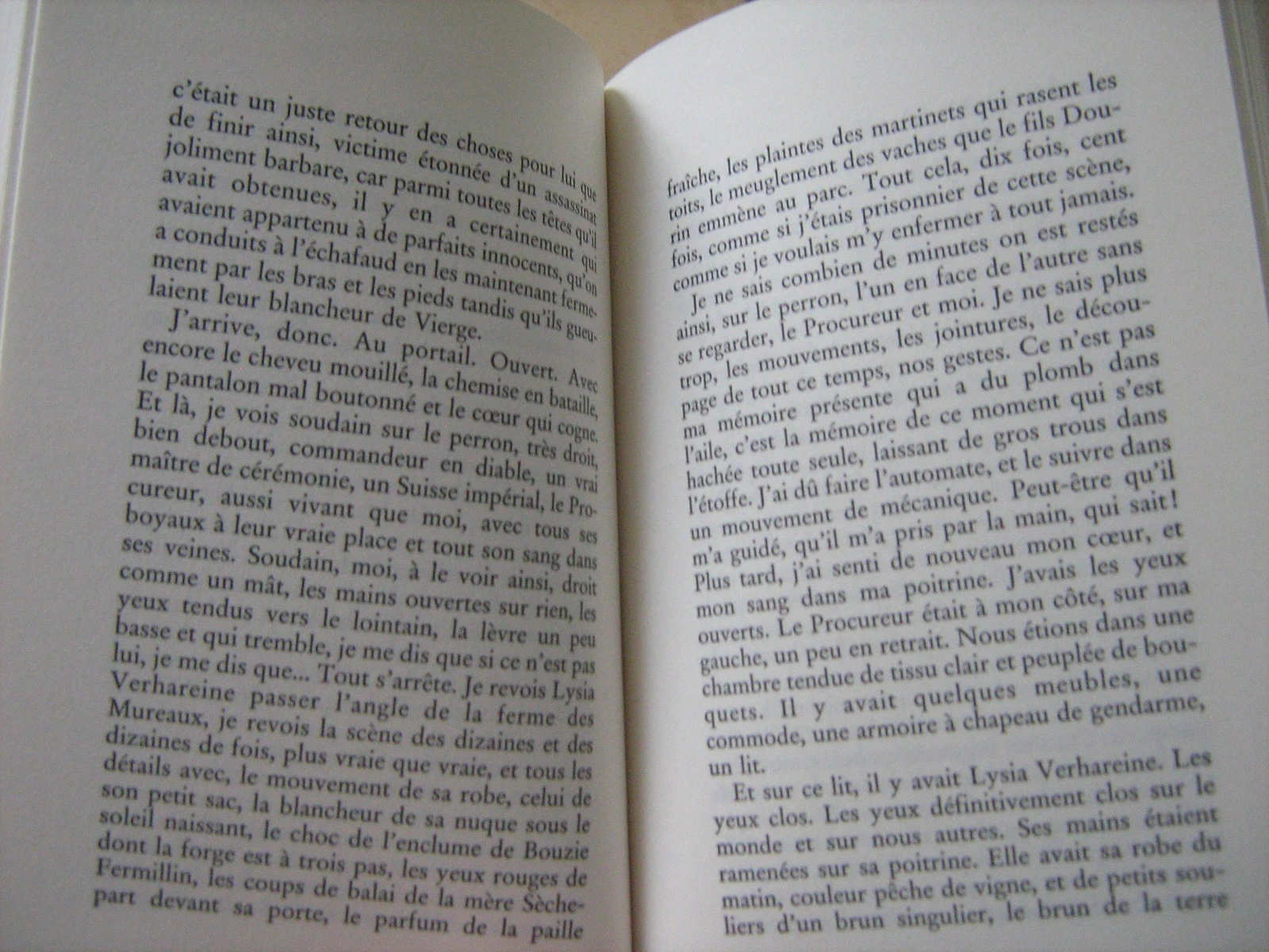 as almas cinzentas – photo 6
